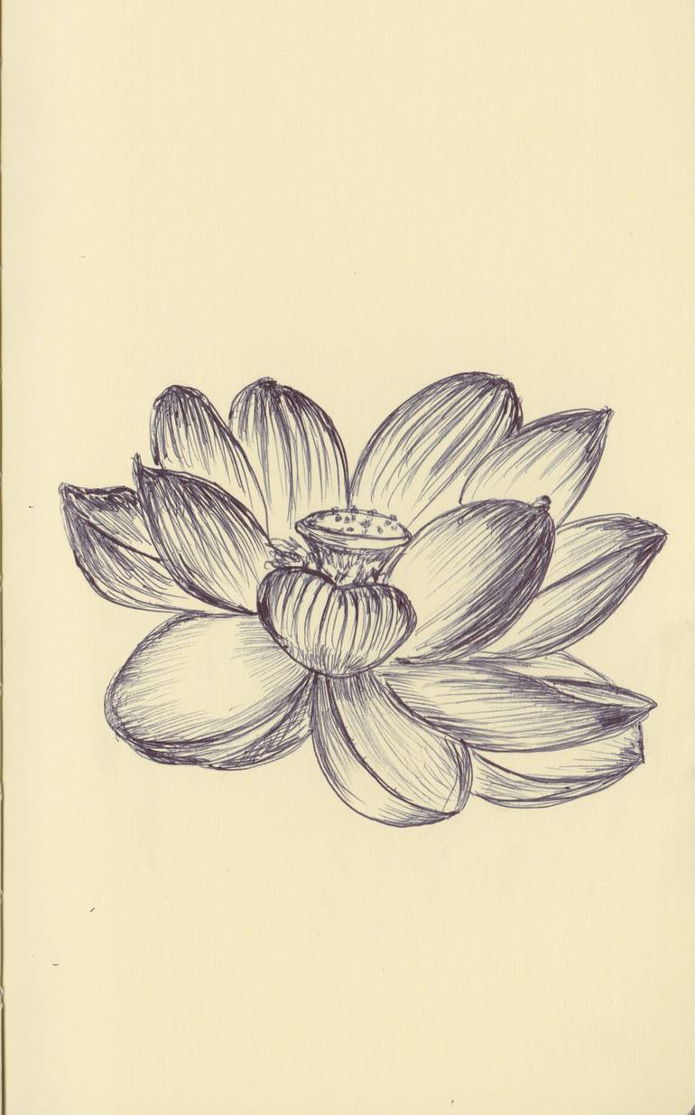 Ballpen Lotus Flower Drawing By Ballpointpen Illustrator Saatchi Art