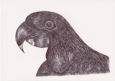 Print of Fine Art Animal Drawings by Ballpointpen Illustrator