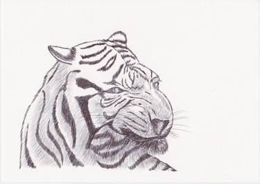 Print of Fine Art Animal Drawings by Ballpointpen Illustrator