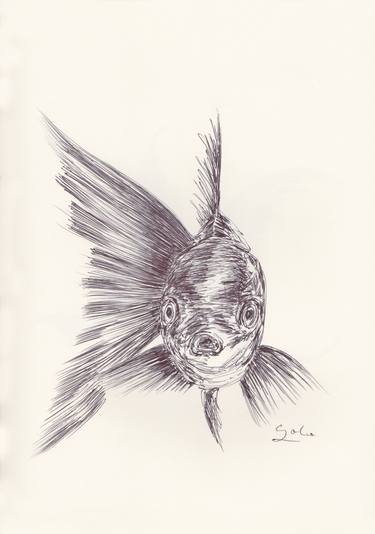 Print of Fine Art Fish Drawings by Ballpointpen Illustrator