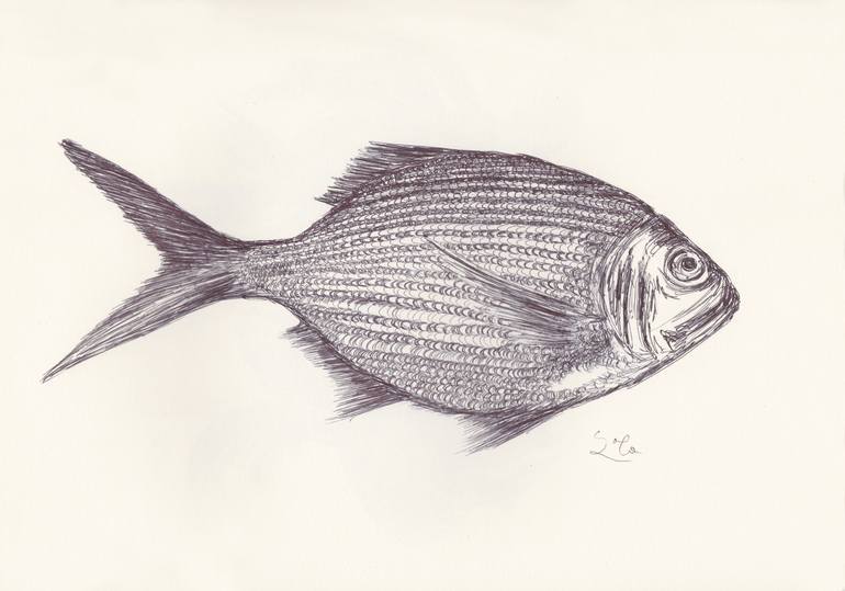 BALLPEN FISH 4 Drawing by Ballpointpen Illustrator | Saatchi Art