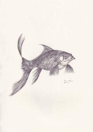 Print of Fish Drawings by Ballpointpen Illustrator