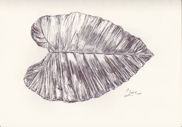 Print of Nature Drawings by Ballpointpen Illustrator