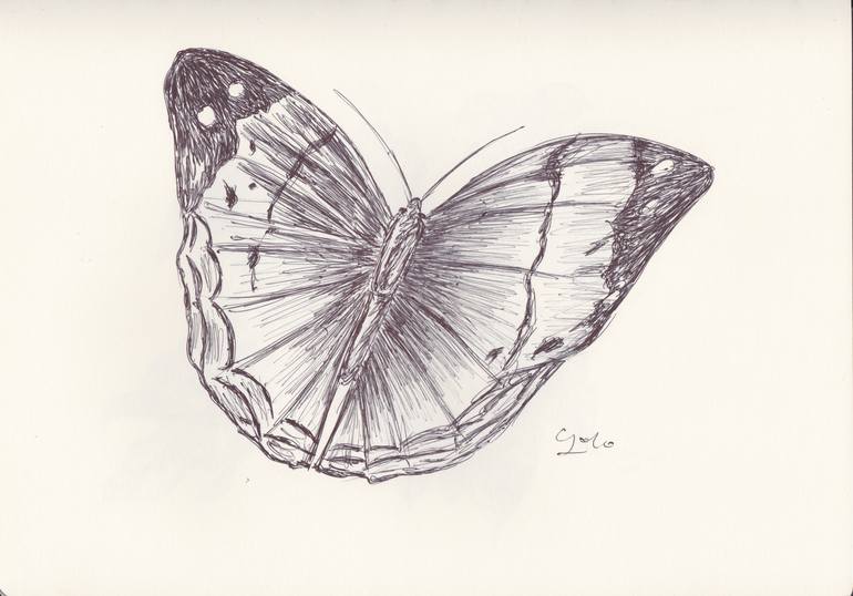 Ballpen Butterfly from Laos Trip 3 Drawing by Ballpointpen Illustrator ...