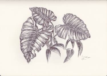 Print of Nature Drawings by Ballpointpen Illustrator