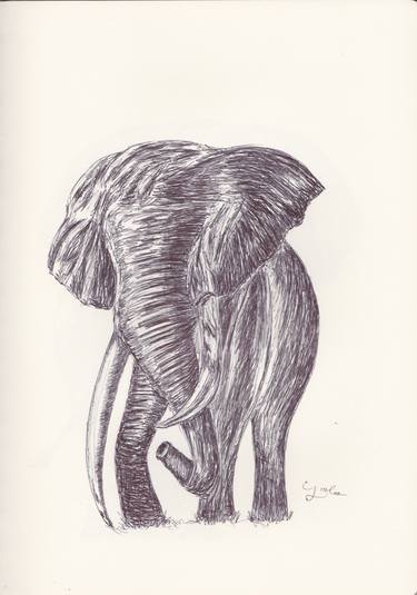 Print of Animal Drawings by Ballpointpen Illustrator