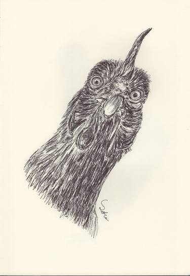 Print of Fine Art Animal Drawings by Ballpointpen Illustrator
