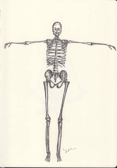 Print of Health & Beauty Drawings by Ballpointpen Illustrator