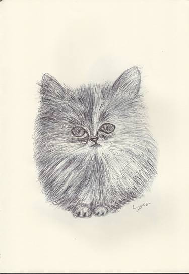 Print of Cats Drawings by Ballpointpen Illustrator