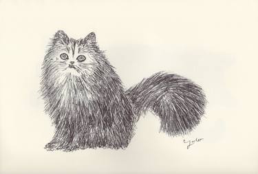 Print of Fine Art Cats Drawings by Ballpointpen Illustrator