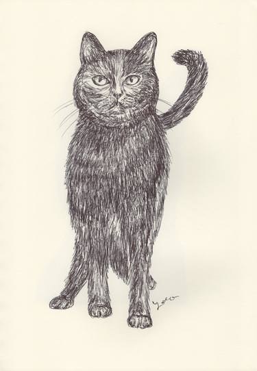 Print of Fine Art Cats Drawings by Ballpointpen Illustrator