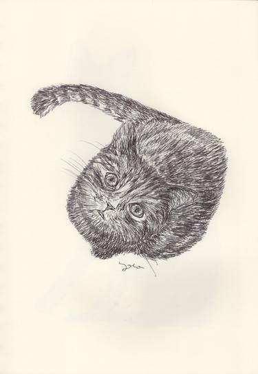 Print of Fine Art Cats Drawings by Ballpointpen Illustrator