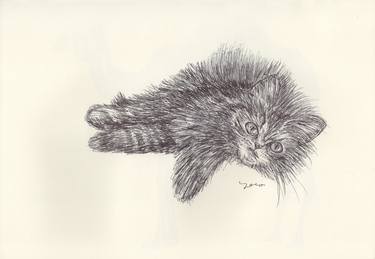 Print of Cats Drawings by Ballpointpen Illustrator