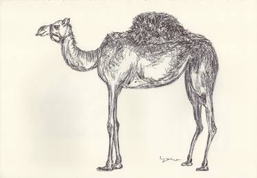 Print of Fine Art Animal Drawings by Ballpointpen Illustrator