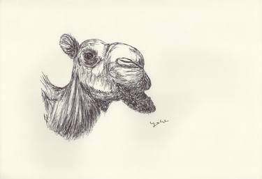 Print of Fine Art Animal Drawings by Ballpointpen Illustrator