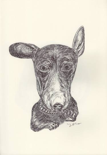 Print of Dogs Drawings by Ballpointpen Illustrator