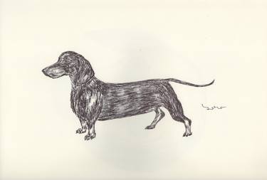 Print of Fine Art Dogs Drawings by Ballpointpen Illustrator