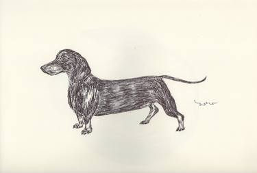 Print of Dogs Drawings by Ballpointpen Illustrator