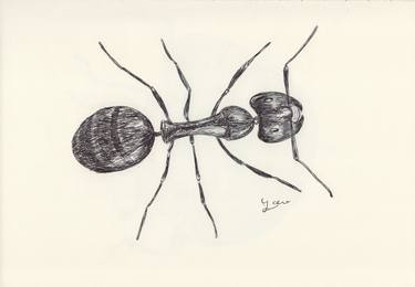 BALLPEN INSECT 4 thumb