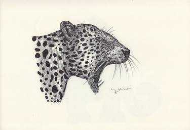 Print of Fine Art Animal Drawings by Ballpointpen Illustrator