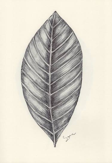 Print of Fine Art Nature Drawings by Ballpointpen Illustrator