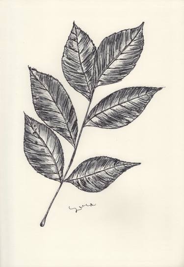 Print of Nature Drawings by Ballpointpen Illustrator