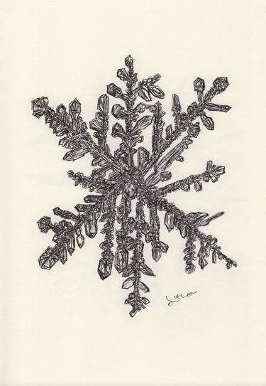 Print of Seasons Drawings by Ballpointpen Illustrator