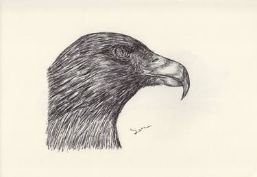 Print of Fine Art Animal Drawings by Ballpointpen Illustrator