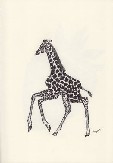 Print of Animal Drawings by Ballpointpen Illustrator