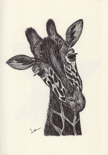 Print of Fine Art Animal Drawings by Ballpointpen Illustrator