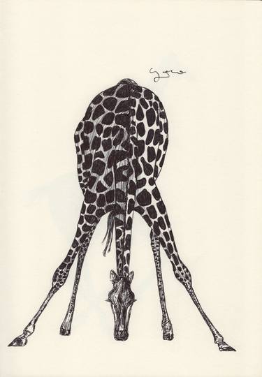 Print of Fine Art Animal Drawings by Ballpointpen Illustrator