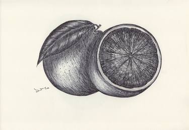 Print of Food Drawings by Ballpointpen Illustrator