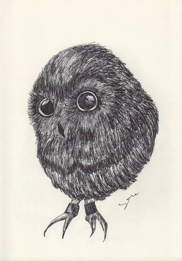 BALLPEN OWLS 5 thumb