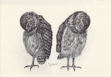 Print of Animal Drawings by Ballpointpen Illustrator
