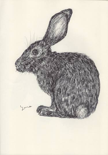 Print of Illustration Animal Drawings by Ballpointpen Illustrator