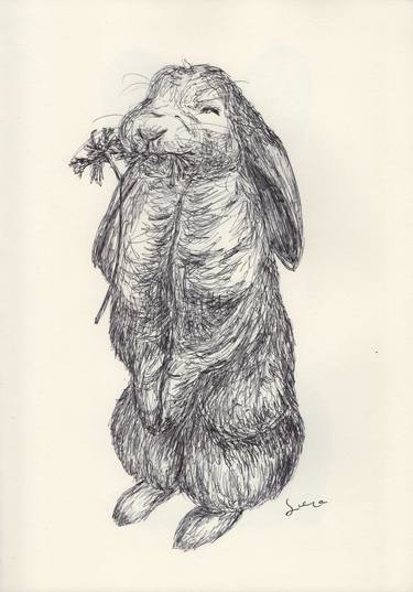 Original Fine Art Animal Drawings by Ballpointpen Illustrator