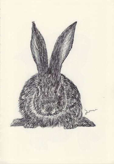 Original Animal Drawings by Ballpointpen Illustrator