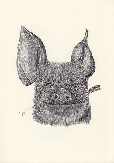 Original Animal Drawings by Ballpointpen Illustrator