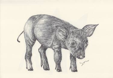 Original Fine Art Animal Drawings by Ballpointpen Illustrator