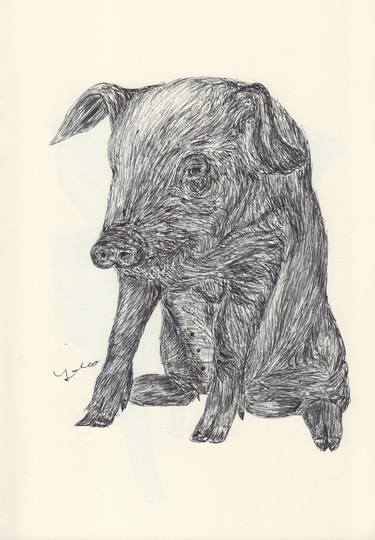 Original Fine Art Animal Drawings by Ballpointpen Illustrator