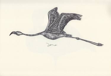 Original Fine Art Animal Drawings by Ballpointpen Illustrator