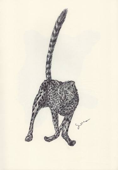 Original Fine Art Animal Drawings by Ballpointpen Illustrator