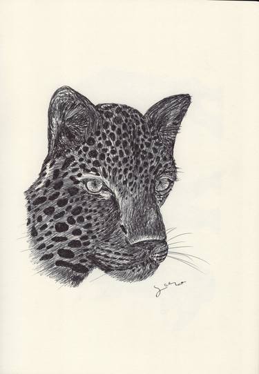 Original Animal Drawings by Ballpointpen Illustrator