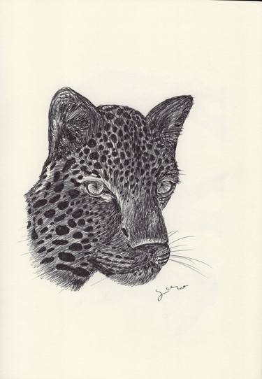 Original Fine Art Animal Drawings by Ballpointpen Illustrator