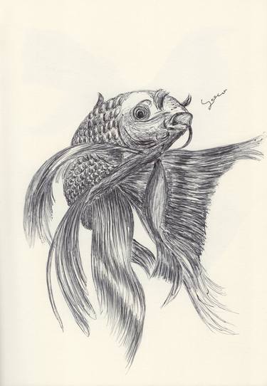 Print of Fine Art Fish Drawings by Ballpointpen Illustrator