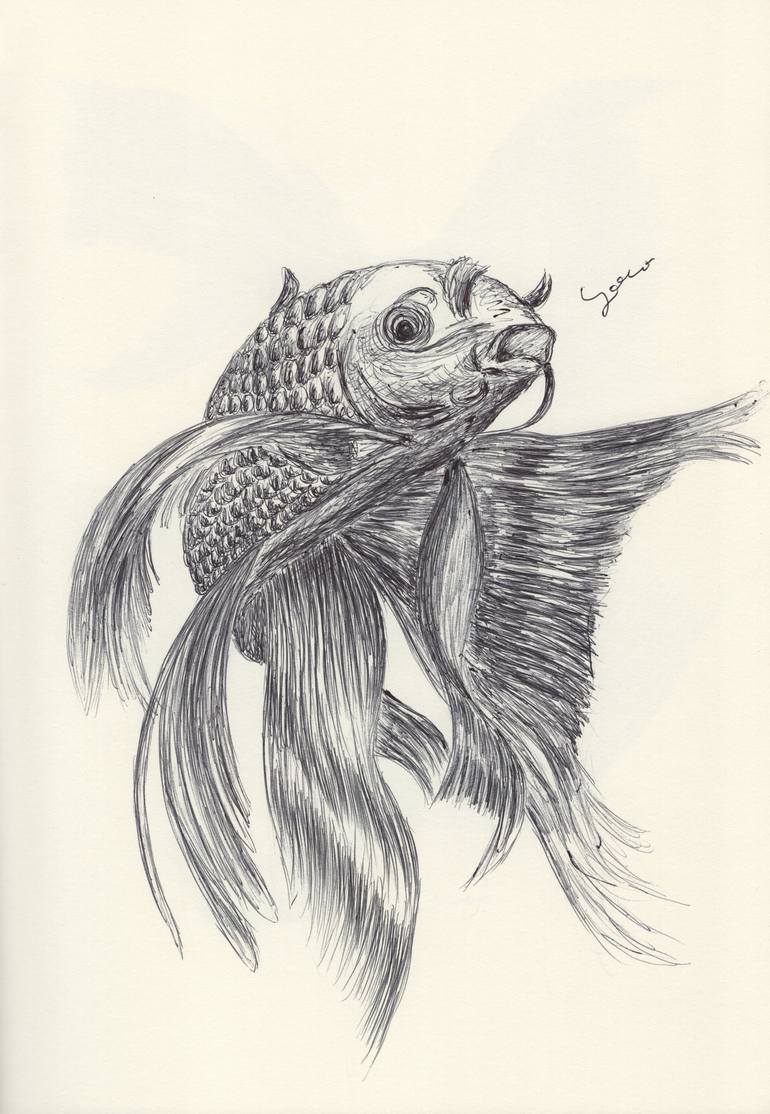 BALLPEN KOI FISH Drawing by Ballpointpen Illustrator | Saatchi Art