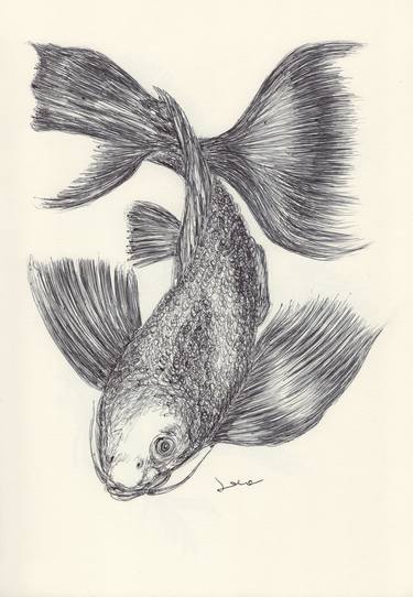 Original Fine Art Fish Drawings by Ballpointpen Illustrator