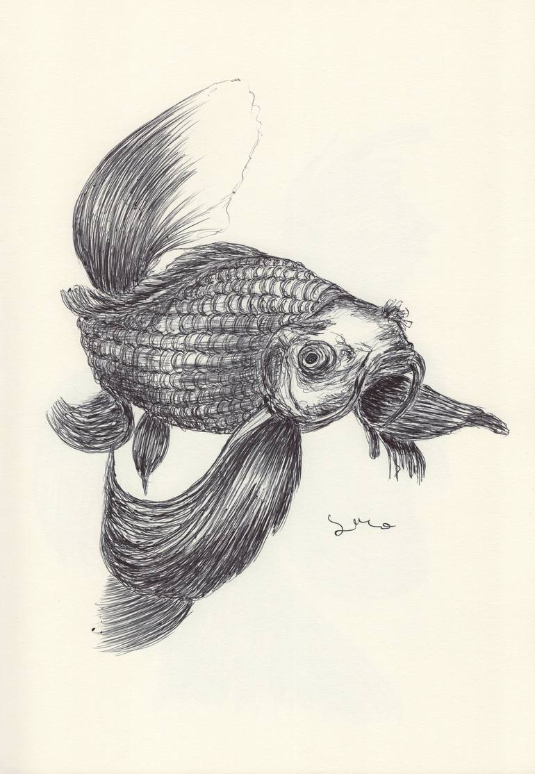 Fish Pen & Ink Illustration - Nature Drawing :: Behance