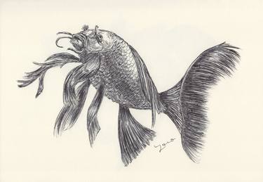 Print of Fine Art Fish Drawings by Ballpointpen Illustrator
