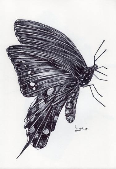 Original Fine Art Nature Drawing by Ballpointpen Illustrator